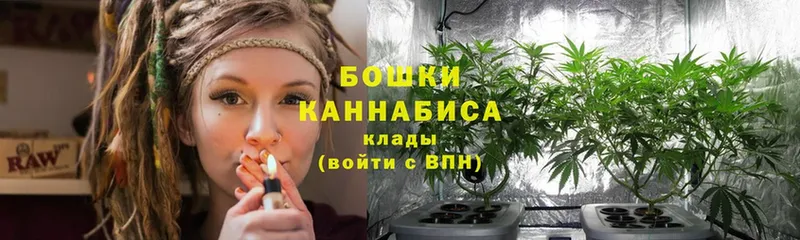 darknet телеграм  цены   Гуково  Марихуана Amnesia  мега  